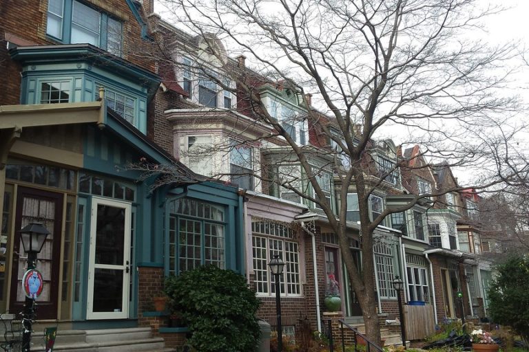 48104723601_3bf51bc91a_b